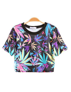 outfitmadestyle:  Floralz Print Crop Top (available at Outfit Made) 