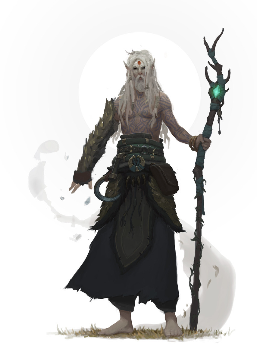 Druid man in the forest in 2023 | Dnd druid, Character art, Druid