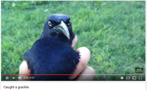 OH SHIT I'M A BLOG
