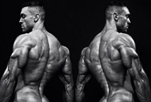 Adonis Files