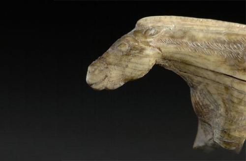Horse of Lourdes, found in the Grottes des Espélugues (Lourdes,Hautes-Pyrénées, c. 13,000 BC).  It i