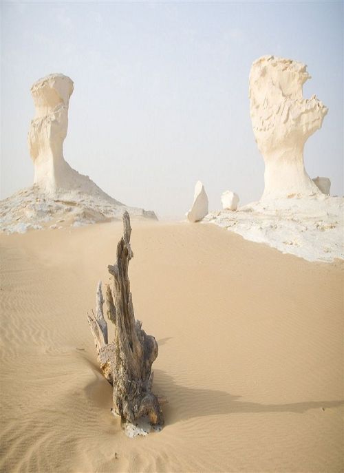 praial: Egypt: The White Desert, Farafra