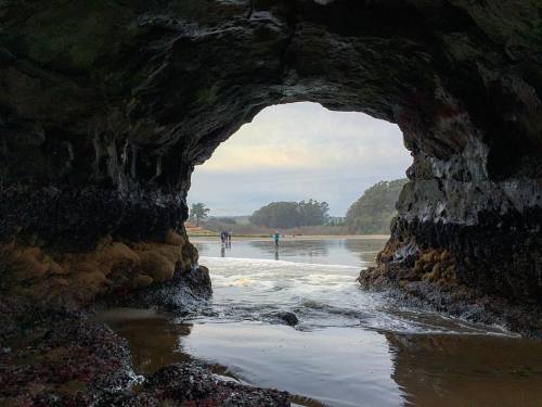 Inside a #SantaCruz icon!!! #NaturalBridges #kingtide #onceayearthing #montereybay #santacruzCA #see