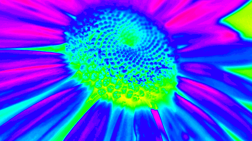 Trippiest