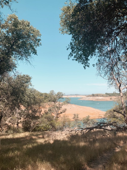 Summer has arrived at Folsom Lake in Gold Country. The grass is turning gold and the lake is bright 