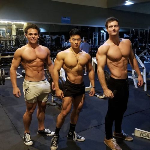 musclecomposition:Physique and fitness models,   Uzoma Obilor Nyle Nayga and Connor Murphy
