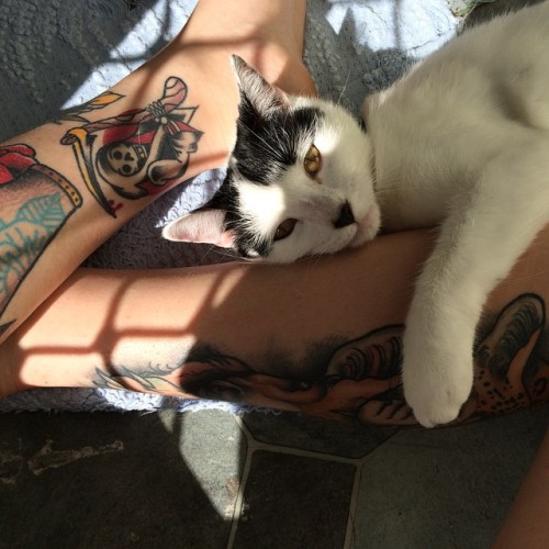 özlem
