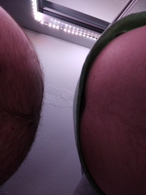 POV: you stay overnight with two bears and wake up to thismore here