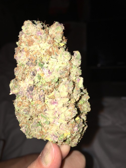 the-rising-moment:  my favorite nug from adult photos