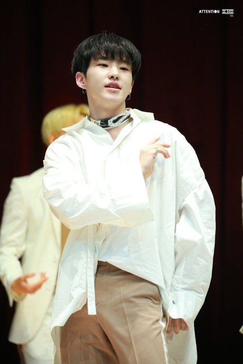 attention hoshi | do not edit