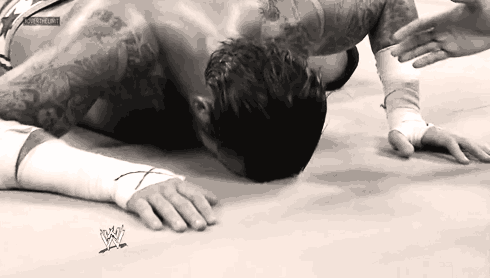 heelcanadian:  What you do when your favourite wrestler gets injured. 