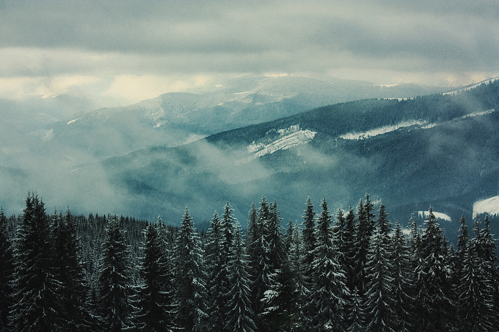 brutalgeneration:  (by Perhaluk Roma)