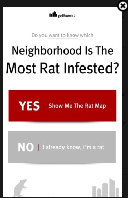 goatwishes:SHOW.ME.THE RAT MAP.SHOW.ME.THE RAT MAP.SHOW.ME.THE