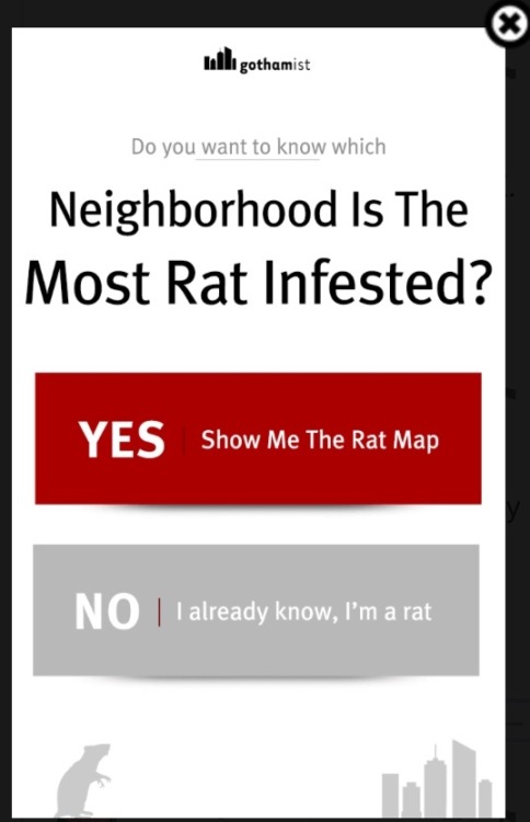 goatwishes:SHOW.ME.THE RAT MAP.SHOW.ME.THE RAT MAP.SHOW.ME.THE RAT MAP.