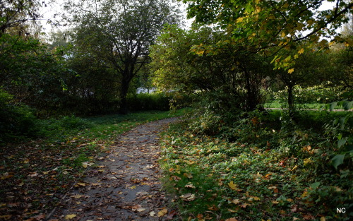 Paths of autumn.