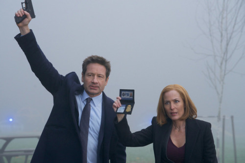 thexfiles: thexfiles:“hi please take us seriously i promise we’re real fbi” i&rsqu
