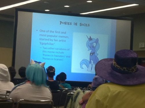 shutthefuckupotherkin:steveholtvstheuniverse:highlights from the pony memes panel at bronyconI feel 