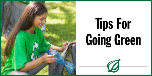 theonion:  Burn local fossil fuelsBan bathtime for all but your filthiest childDon’t dispose of old batteries and electronics in the regular trash; put them in that box in the garage so you can deal with them somedayCarpool with another person to destroy
