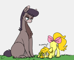 ask-butterscotch: butterscotch finds a pretty flower  iwa is @ask-kai-thetraveler‘s bo y  x3