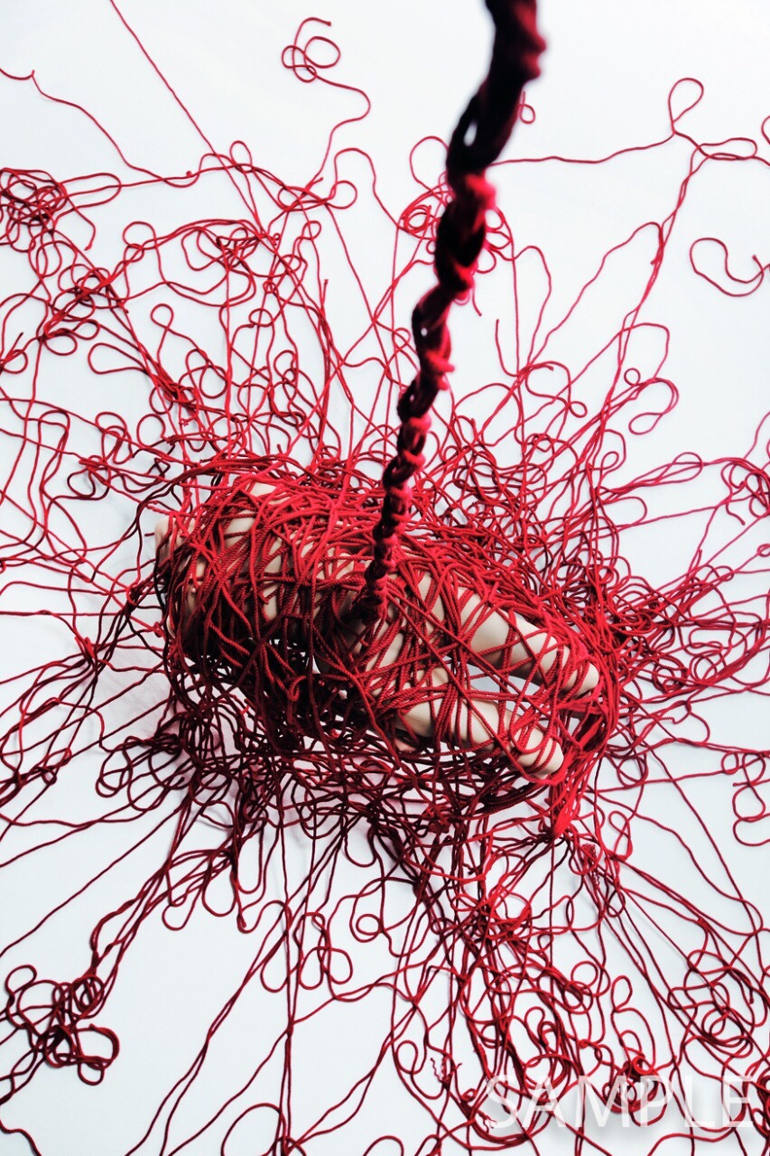 hajimekinoko:  I will do my exhibition “Red” in Baltimore. 5/5-14 This series