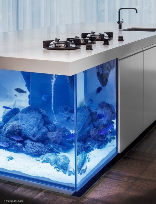 designed-for-life: An Aqurium in Your Kitchen Robert Kolenik Eco Chic Design created this giant aqua