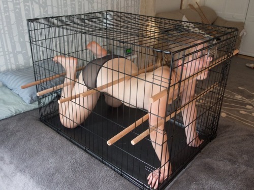 pleasing-prey:  afuckngo:  domination-bsdm:  More Domination http://domination-bsdm.tumblr.com