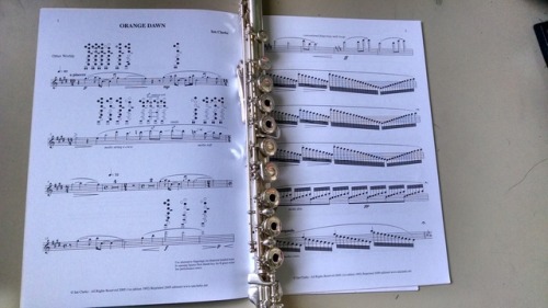 bassflutes: My teacher’s idea of a good fun present: avant garde microtonal music.