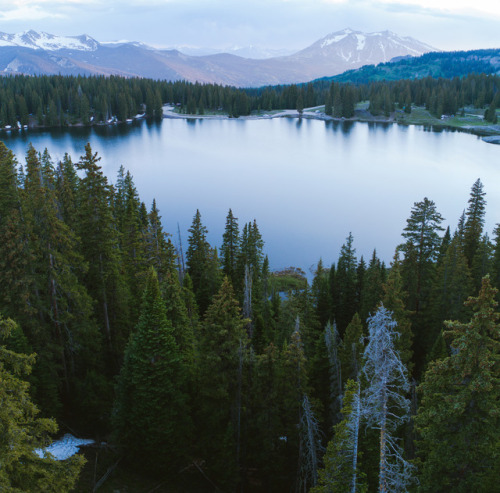 lostintheforrest:Calm nights in Colorado