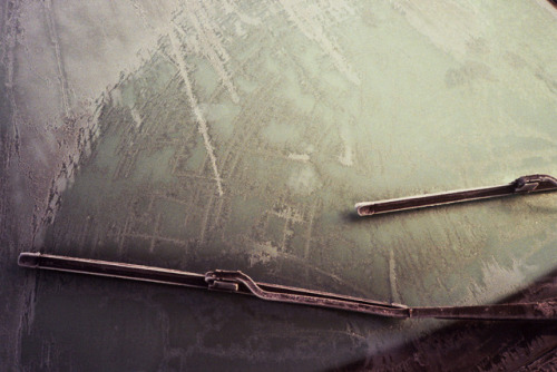 iylshowcase: # 39/200 Lukasz Furczyk We are featuring 3 images/day in the run up to the London Showc
