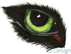 di-design:  #eye of a bird? ©di-Design 