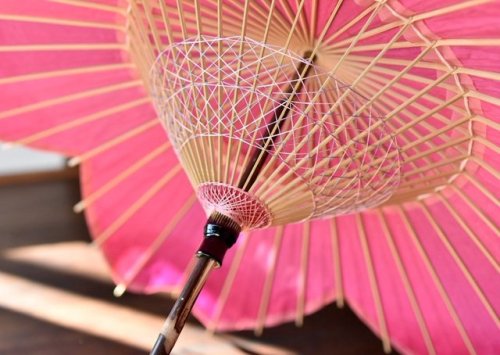 Sakura wagasa, a traditional Japanese umbrella hand made by the specialist Kasabiyori