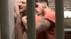 talldomheel-deactivated20220411:When you lose in the prison fight league you loose