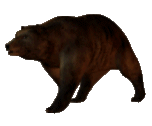 the-entire-furry-fandom:  ww-swagabond:  meta18:  osoru:   slowly approaching bear