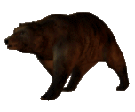 dxindustriesinc:the-entire-furry-fandom: ww-swagabond:  meta18:  osoru:  slowly approaching bear  the bears will be in eventually  Bear will arrive sooner than thought.  BEAR IS APPROACHING AT ALARMING SPEEDS BEAR IS GO FAST LOSING TRACK OF BEAR BEAR
