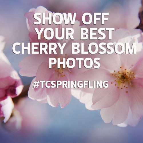 Share your photos with us on Instagram! Use the hashtag #TCSpringFling and we’ll feature our favorites on the blog.