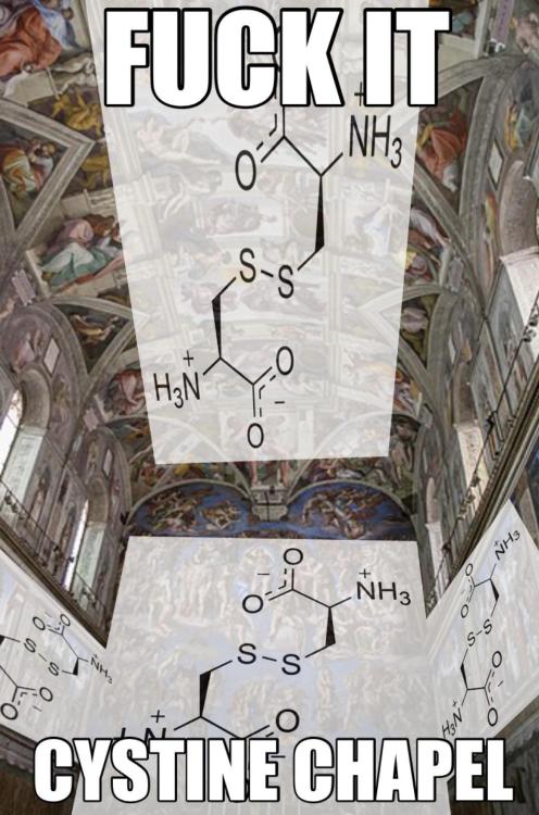 newtonpermetersquare: Cystine chapel