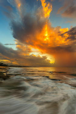 tulipnight:  untitled by Eric Fernandez via