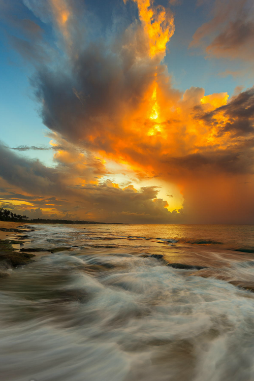 tulipnight:  untitled by Eric Fernandez via kamalito75 on Flickr. 