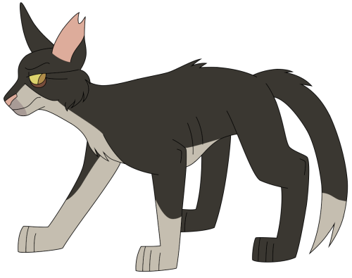 riverclan