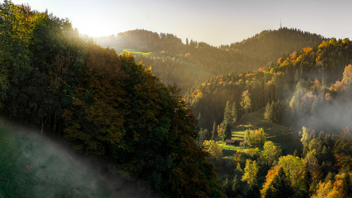 drxgonfly:Foggy Autumn Morning (by Roland Albanese)