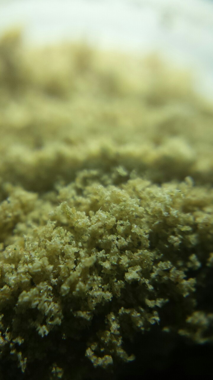 dabbydabs:  Defiant extracts nbk x wifi ice wax macro