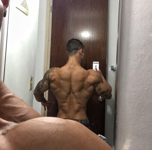 Adonis Files