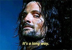 ohdaryldixon:  most underappreciated relationships (in my opinion) - Gimli x Aragorn 