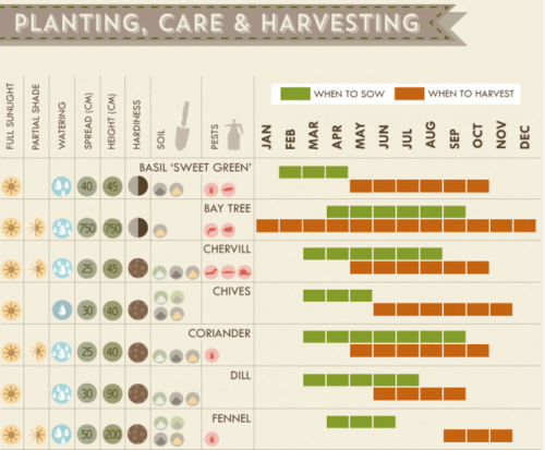 The Herb Grower’s Cheat Sheet*Growing seasons and planting information below are UK specific*H