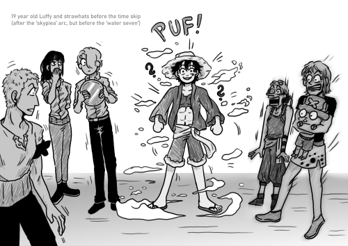 19 Year Old Luffy Meets His Crew Before The Time Skip