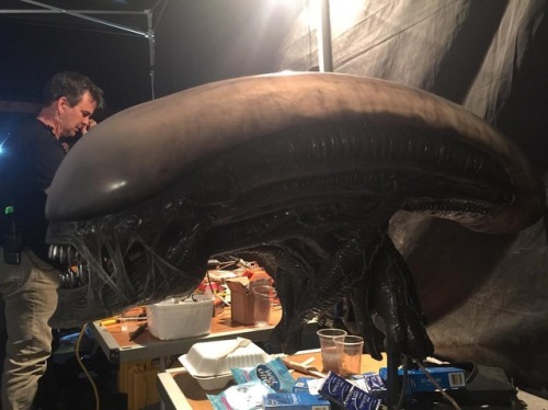 everything-alien-and-predator:New behind-the-scenes Alien: Covenant set photos