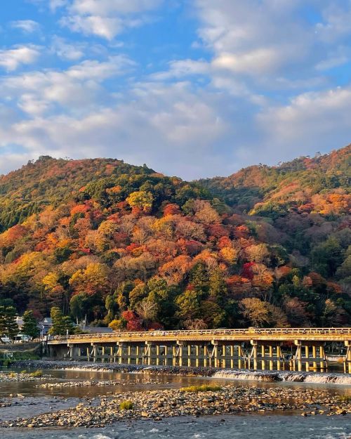 &rsquo; &rsquo; 【紅葉の京都】嵐山 &rsquo; &rsquo; 朝陽に照らされた紅葉 &rsquo; &rsquo; 2021.11