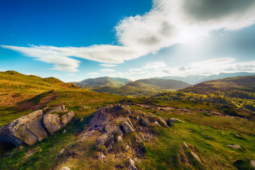 ariweinklephotography:Above Grasmere.