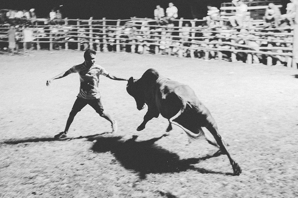 https://ourcaste.com/bull-fighting-in-tamarindo/