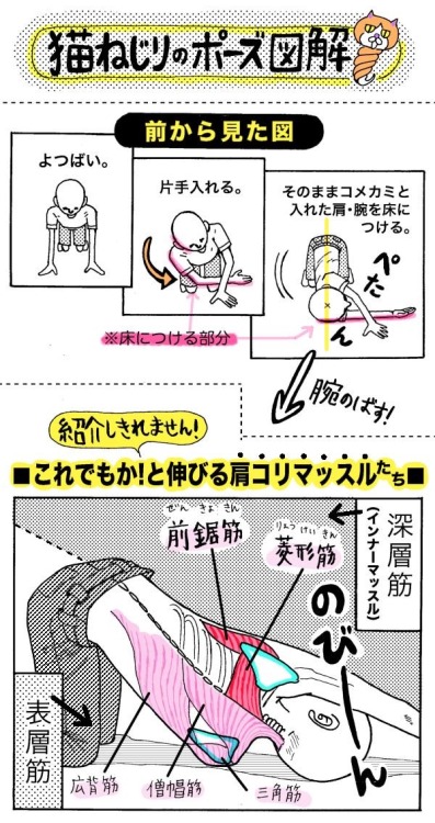 shinjihi: 【撃退】肩こりには「世界一受けたい授業」でも紹介された“アレ”をはがすべし！ - いまトピ ima.goo.ne.jp/column/comi